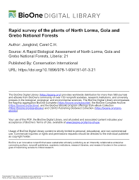 Image result for Ochthocharis dicellandroides