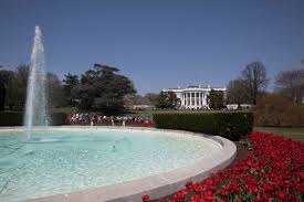 Serving tempe, ahwatukee, gilbert, mesa, chandler az, & south phoenix. As May Flowers Bloom A Closer Look At White House Gardens Past And Present The White House