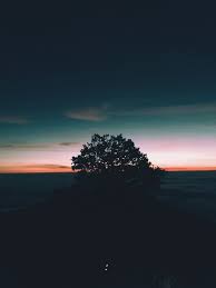 We did not find results for: Amoled 1080p 2k 4k 5k Hd Wallpapers Free Download Wallpaper Flare