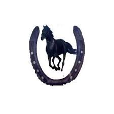 Kaale Ghode Ki Naal jainnews.in घोड़े की नाल ...