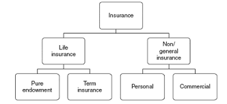 Most include both term life insurance and permanent life insurance offerings. What Is Insurance Insurance Companies List Insurance Guide