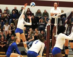 High School Volleyball: Move to Class 1A may benefit Wolverines