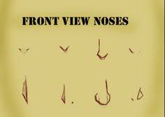 This tutorial explains how to draw an anime or manga style female face in 3 4 view with step by step illustrated examples. Manga Themes How To Draw Anime Noses Female