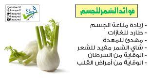 فوائد الشمر للجسم fennel seeds benefits natural medicine health