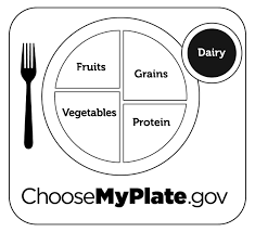 The New Usda Myplate Printables And Activities For Kids Food Coloring Pages My Plate Healthy Plate