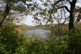 We did not find results for: Pine Lake State Park Iowa Camping Reservations Reserveamerica