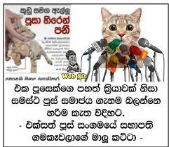 Sunanda Deshapriya On Twitter Listening To World Radio Switzerland Morning News Few Seconds For The Cat Named Colombo The Famous Cat Who Escaped After Captured By Prison Guards On A Drug Delivery