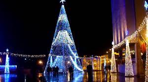 Check spelling or type a new query. Brad Si Lumini De Craciun Targu Jiu 2017 Youtube