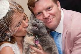 Cat Wedding Photo Features A Major Feline Meltdown I Officiated This Wedding The Bride And Groom Are Great People And Coco S Cats Funny Cats Funny Pictures