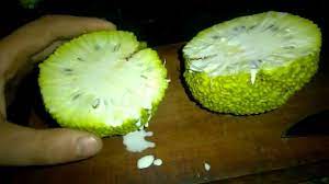 Strange Green Fruit Youtube