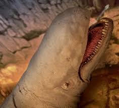 Image result for Exotheca