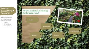 Proses hidup tumbuhan sains upsr darjah 5 chp proses hidup tumbuhan. Sains Tahun 5 By Izzah Azhar
