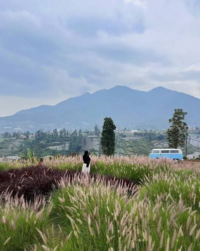 Tepi Gunung