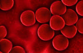 Follicular Lymphoma: symptoms, causes, treatment, medicine, prevention,  diagnosis