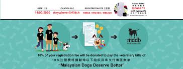 The dog has since been named marmaduke and will be boarding at the veterinary clinic until sunday before it is relocated to a buddhist temple in puchong. Omg Our 2020 In A Nutshell The Omg