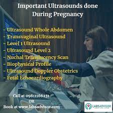 60 Off On Ultrasound Scans For Pregnancy From 250 Only