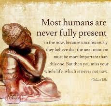 Pin By Aubrey Dosky On Quotes Light Your Soul Buddhist Quotes Buddha Quote Buddha Quotes