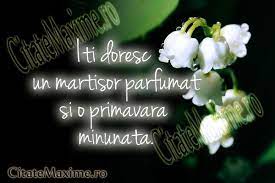 Invata sa faci martisoare de 1 martie! Iti Doresc Un Martisor Parfumat Si O Primavara Minunata Iti Place Acest Citat Distribuie Mai Departe Catre Prietenii Best Quotes Quotes Words Of Wisdom