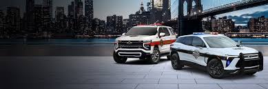 Image result for Dark Yellow Green 2021 Fleet