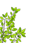 新緑(カシ)のイラスト｜フリー素材 - GreenStock40｜アクリル ...