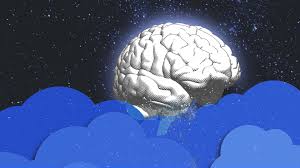 Here's what happens to your brain when you don't sleep - Fast Company