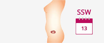 Ssw erprobt dein baby seinen neu erweckten tastsinn und beginnt, das fruchtwasser zu schlucken. 13 Ssw Schwangerschaftswoche Mutter Bauch Baby In 13 Ssw