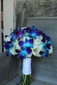 We did not find results for: Silk Wedding Bouquet Blue Orchid Light Teardrop Cream White Rose Roses Flowers Petals Garlands Home Garden