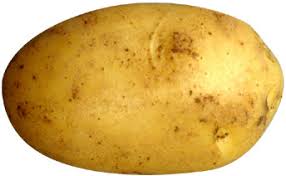 Últimas noticias de perú y el mundo sobre política, locales, deportes, culturales, espectáculos, economía, y tecnología en la agencia peruana de noticias andina. Perunaa