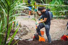 Mālama ʻĀina Volunteer Day