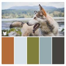 Maybe you would like to learn more about one of these? Color Palettes For Pet Brands