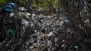 Sampah plastik dapat membunuh binatang laut. Kesan Plastik Yang Tidak Berhenti Greenpeace Malaysia