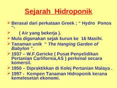 Tanaman hidroponik rbt tahun 6. Natrah Ali Natrahttb Profile Pinterest