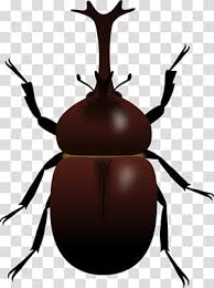 Cartoon Birthday Cake Japanese Rhinoceros Beetle Rhinoceros Beetles Stag Beetle Birthday Insect Scarabs Antler Transparent Background Png Clipart Hiclipart I smell the blood of a walking dice.