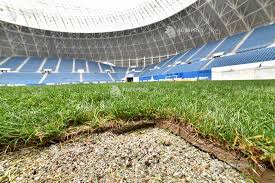 Universitatea craiova live resultat, kampoversikt og resultater fc viitorul constanța live resultat, kampoversikt og resultater. Craiova Inlocuire Gazon Stadion Ion Oblemenco Agerpres ActualizeazÄƒ Lumea