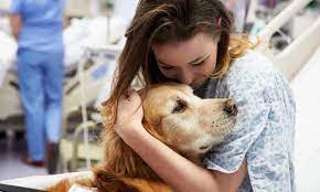 Signs of depression can look very similar to signs of illness. Dogs Have A Magic Effect How Pets Can Improve Our Mental Health Dogs The Guardian