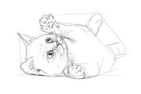 الصور القطط إلى داخل رسم من رصاص