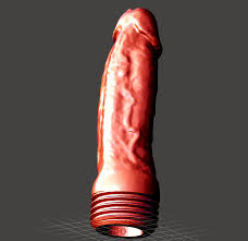 Shower Hose Nozzle EnemaDouche Dick 🚿🍆・ STL File for 3D printing・Cults