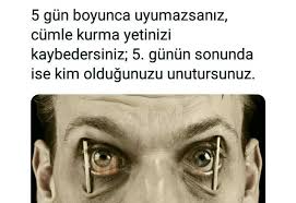 Antidepresan Gulumsemesi Adli Kullanicinin Az Biraz Panosundaki Pin Bilgi Alintilari Bilgi Karti Gizli Bilgi