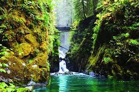 Olympic national park is a united states national park located in the state of washington, on the olympic peninsula. Olympic National Park Visit Seattle