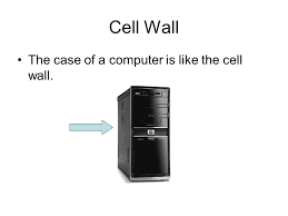Animal cell analogy to a computer. Cell Analogy Computer Ppt Video Online Download