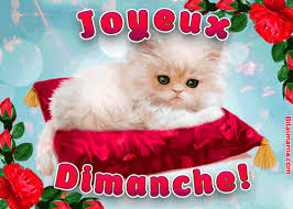 ᐅ 50+ Bonjour Bon Dimanche Gif Image et Citation [2023]