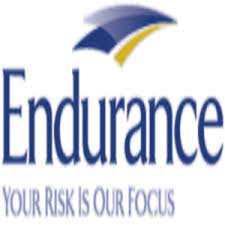 Enh recently introduced a new workers' compensation insurance product to cater to its global risk solutions clients. Endurance Specialty Holdings Endurance Specialty Holdings Ltd Is A Global Specialty Provider Of Insurance And Reinsurance Through Its Operating Subsidiaries Startup Ranking