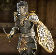 Best looking armor in Oblivion Remastered : r/ElderScrolls