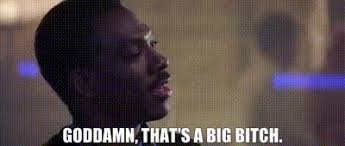 images?q=tbn:ANd9GcTDZdA8eWn0OaDv3UTPEbkauYfaZdEsrFi9zA&s