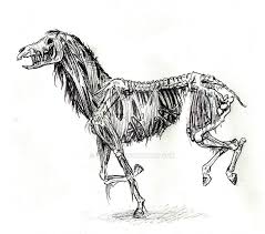 Zombie Horse Sketch Horse Sketch Demon Horse Skeleton Drawings