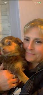 Kitty hasn't come home for about A day (Preston area) Gower/martin st