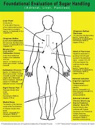 Nutritional Exam Sugar Handling