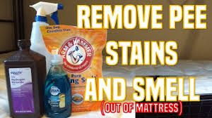 Cats, in particular, are likely to return to that area because they are. Clean Cat Urine From Mattress Www Macj Com Br