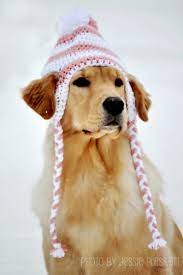 Crochet Doggie Hat Pdf Pattern For Large Dogs Etsy In 2021 Crochet Dog Hat Crochet Dog Dog Sweaters