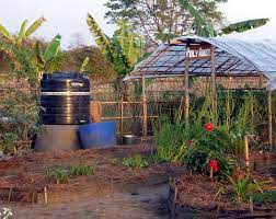 Irrigation System A Simple System For Gravity Fed Water Distribution